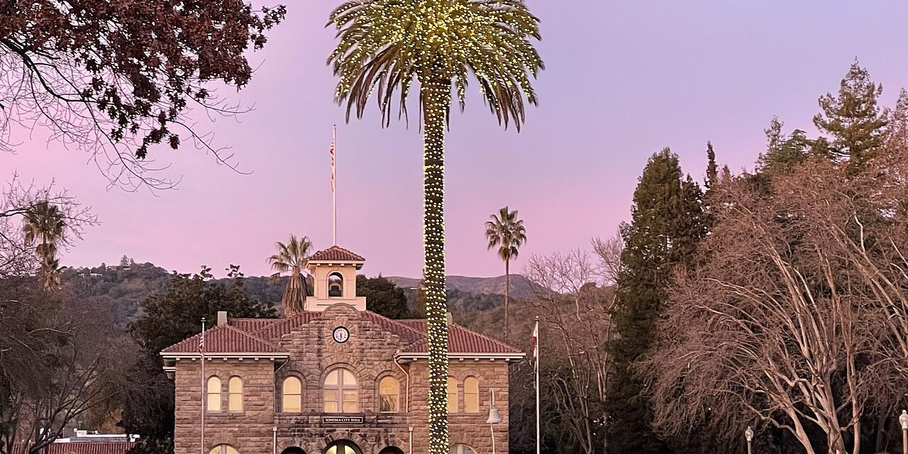 Sonoma City Hall on the Plaza at dusk with palms and a winter sky