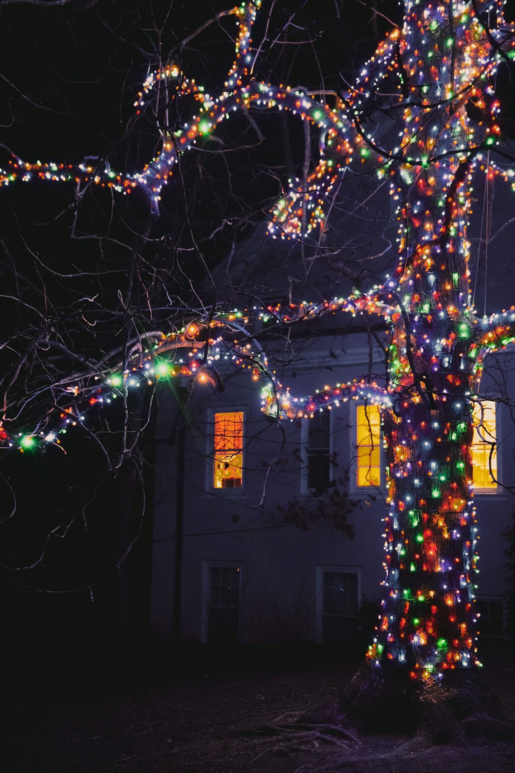 House facade with a tree wrapped in lights