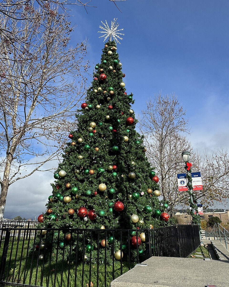 Decorated city Christmas tree at Veterans Memorial Park in downtown Napa